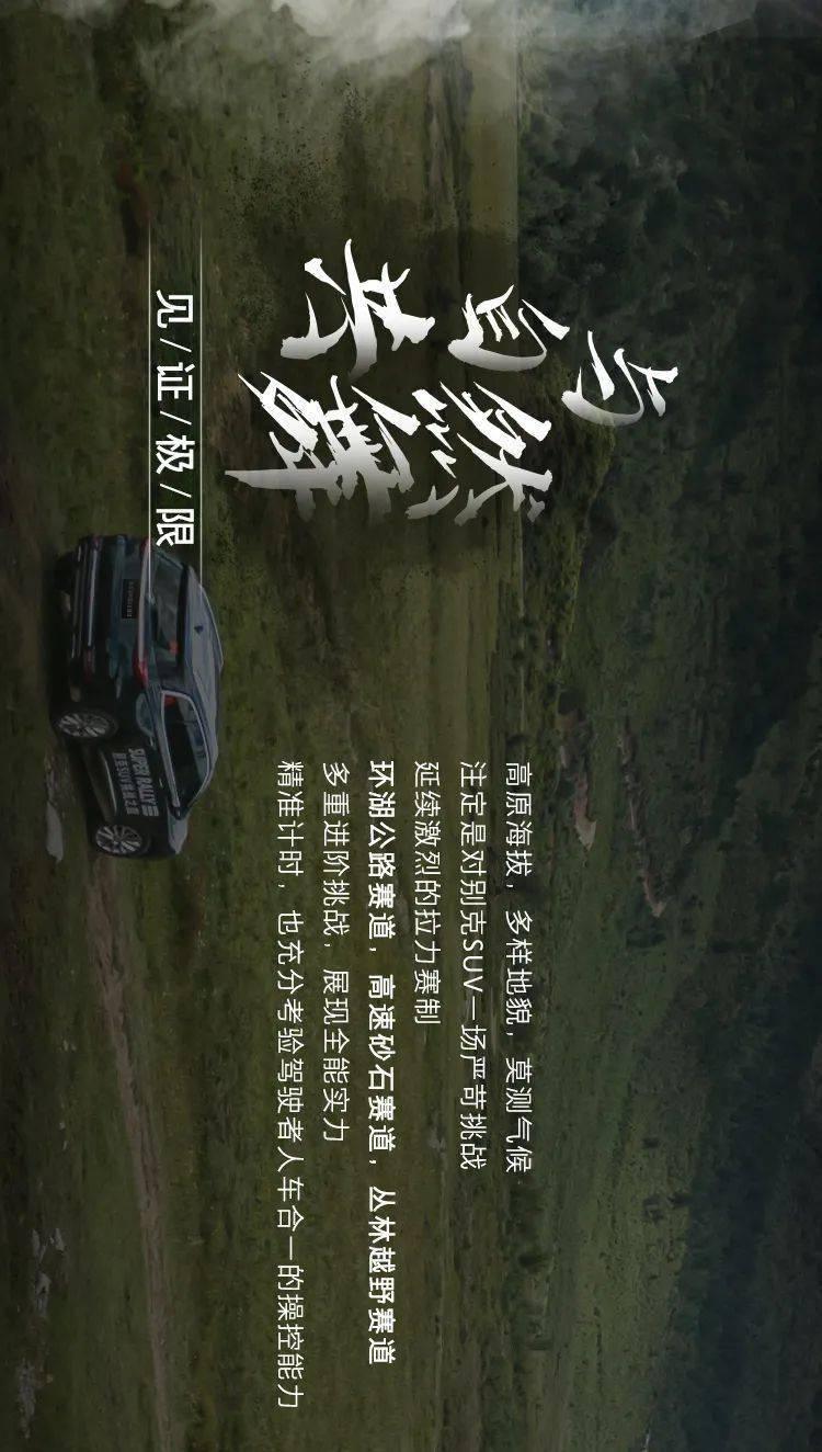 敏捷的白球